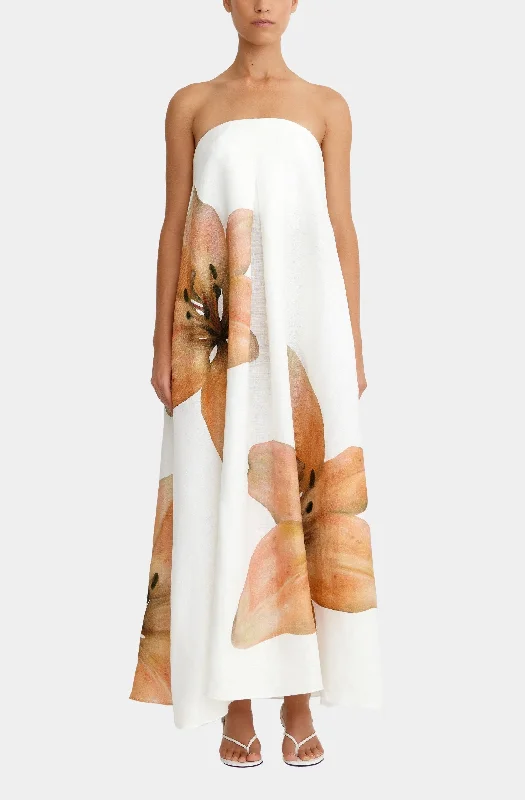 Super Deal Parisa Maxi Dress